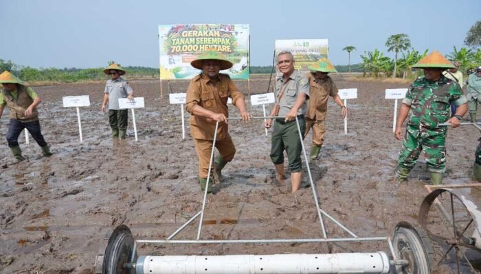 Siak Terima Program Penanaman 70.000 Hektare, Perkuat Peran Bungaraya sebagai Lumbung Pangan