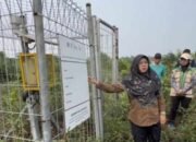 Bupati Siak Jawab Tiga Pertanyaan Presiden Soal Solusi Karhutla