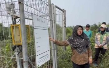 Bupati Siak Jawab Tiga Pertanyaan Presiden Soal Solusi Karhutla