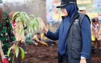 Cegah Alih Fungsi Lahan, Bupati Siak Afni Tanam Pohon di Lahan Bekas Karhutla