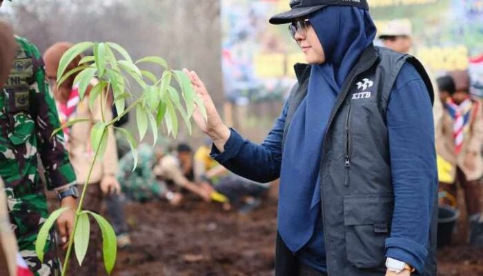 Cegah Alih Fungsi Lahan, Bupati Siak Afni Tanam Pohon di Lahan Bekas Karhutla